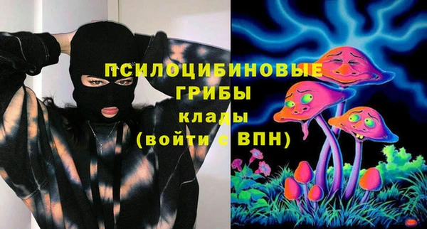 альфа пвп Армянск