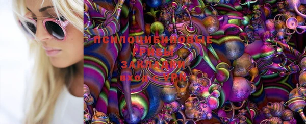 ешки Аркадак