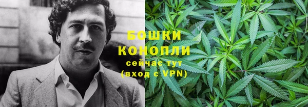 ешки Аркадак